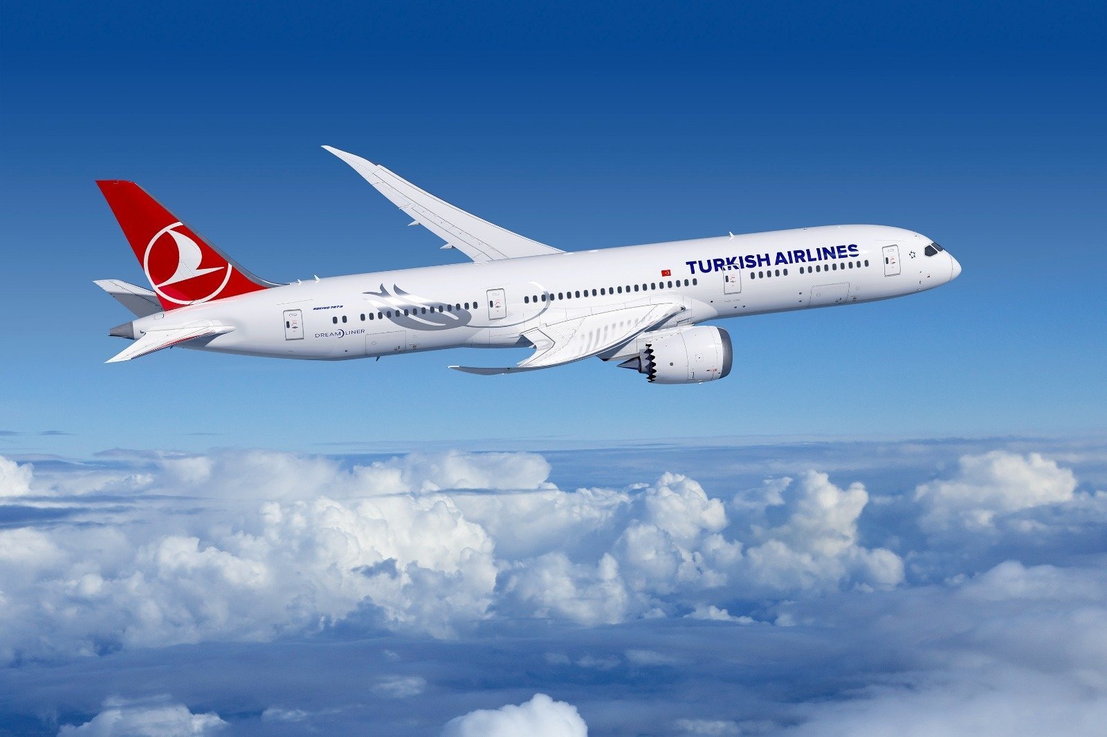 Turkish Airlines Boeing 787