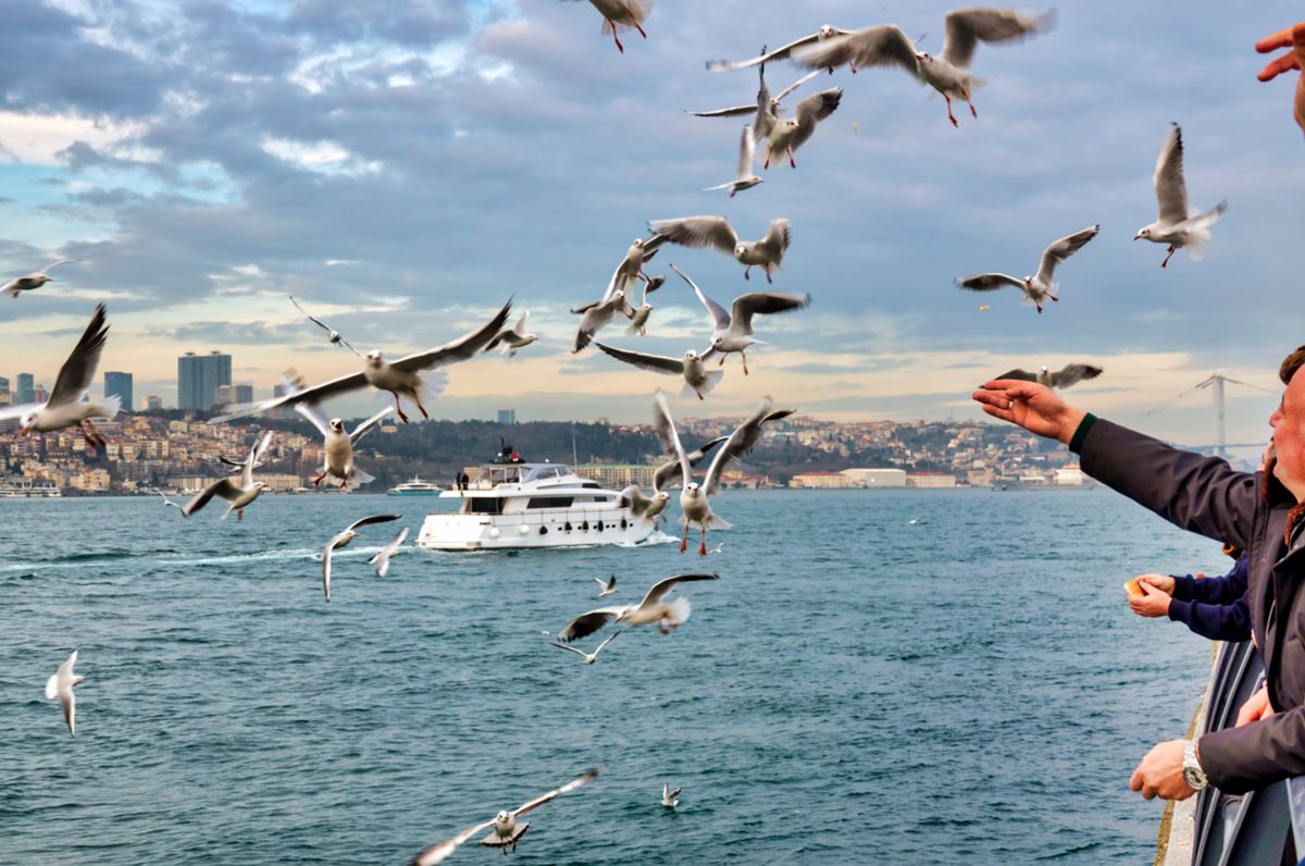 Üsküdar